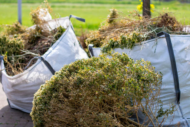 Professional Junk Removal Services in Wytheville, VA